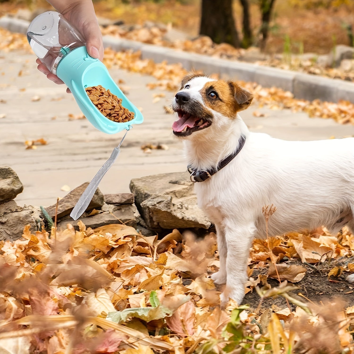 Unleash Adventures with Happy, Hydrated Pets!
